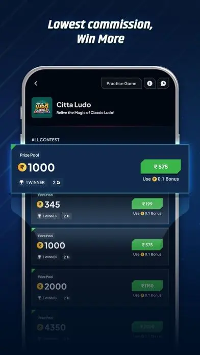 Citta Ludo Game